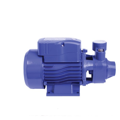 End Suction Pump-QB70 P/Vane 0.55KW/220V/Vega