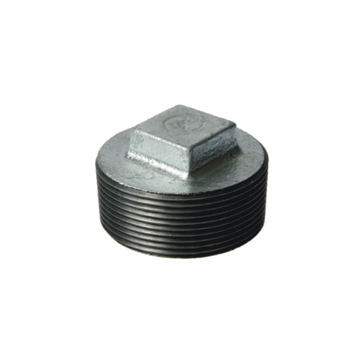 [GFMEC40] GALVANIZED MALE END CAP 40mm