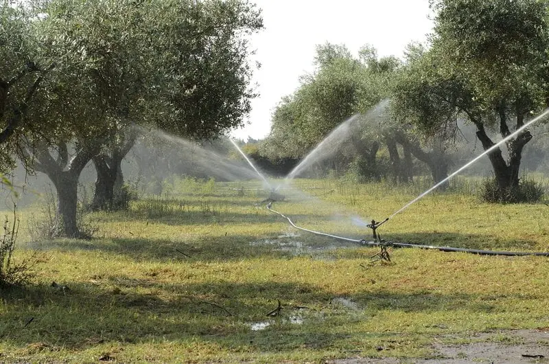 1 HA Vyrsa Sprinkler Kit 25 Sprinklers 1m Riser Pipes | SID Manufacturing